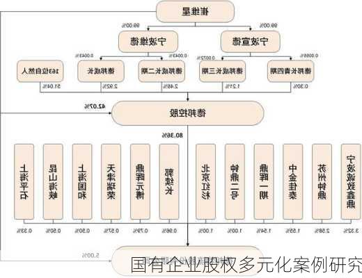 国有企业股权多元化案例研究