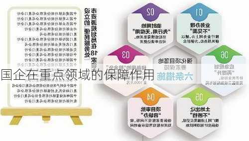 国企在重点领域的保障作用