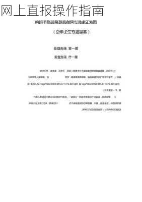 网上直报操作指南