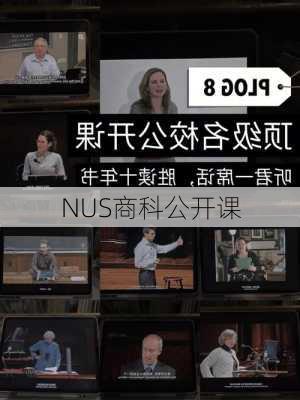 NUS商科公开课