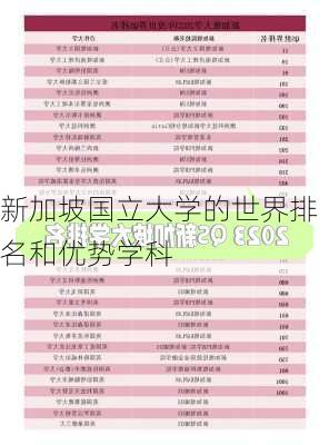 新加坡国立大学的世界排名和优势学科