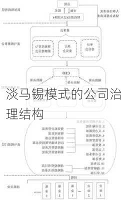淡马锡模式的公司治理结构