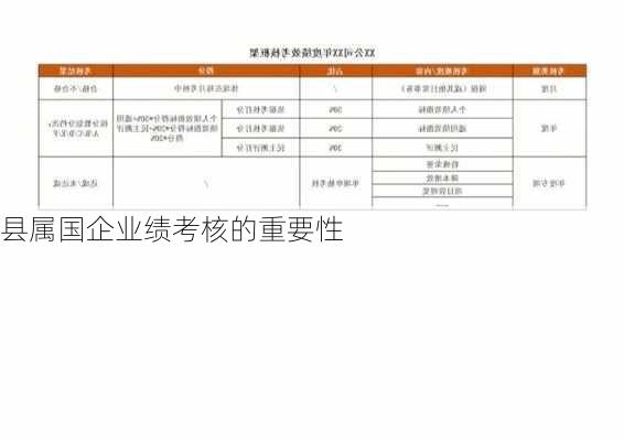 县属国企业绩考核的重要性