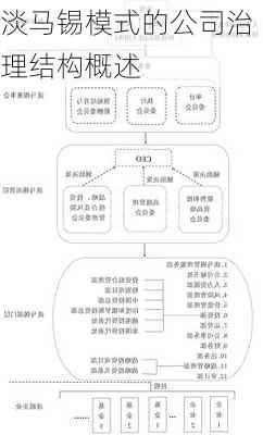 淡马锡模式的公司治理结构概述