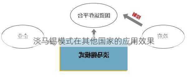 淡马锡模式在其他国家的应用效果