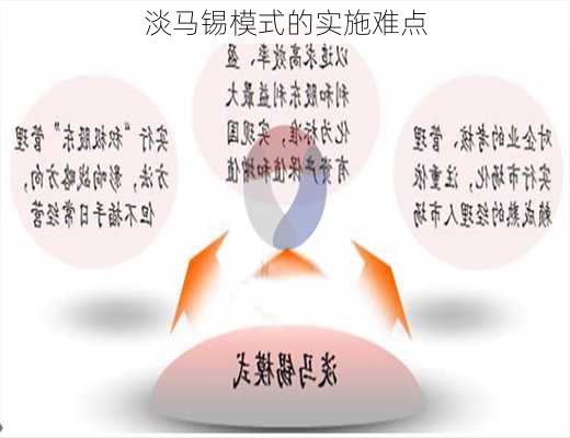淡马锡模式的实施难点