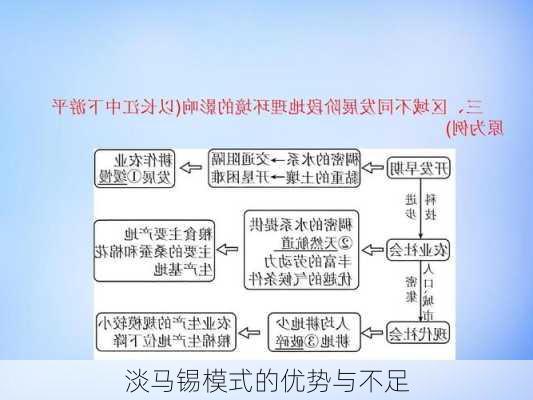 淡马锡模式的优势与不足