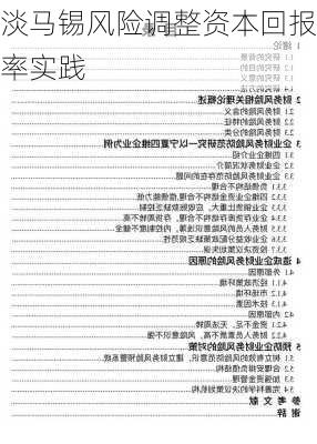 淡马锡风险调整资本回报率实践