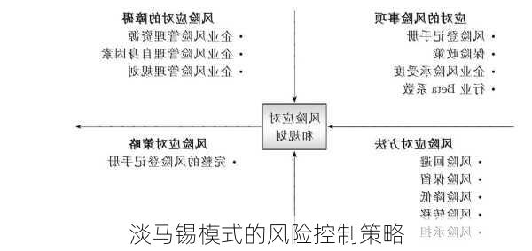 淡马锡模式的风险控制策略