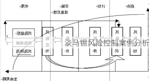 淡马锡风险控制案例分析