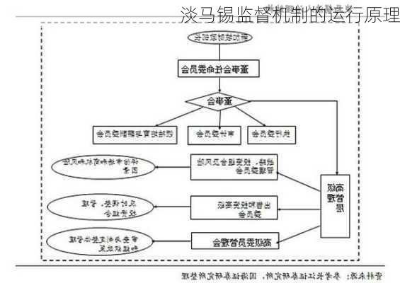 淡马锡监督机制的运行原理