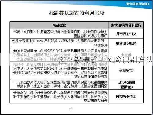 淡马锡模式的风险识别方法