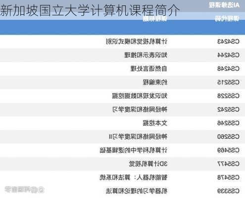 新加坡国立大学计算机课程简介
