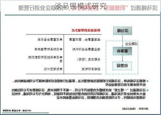 淡马锡模式研究