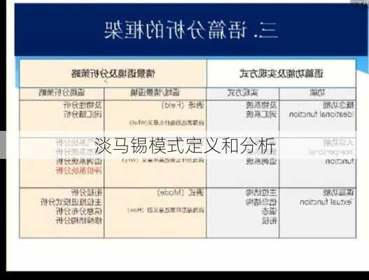 淡马锡模式定义和分析