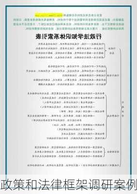 政策和法律框架调研案例