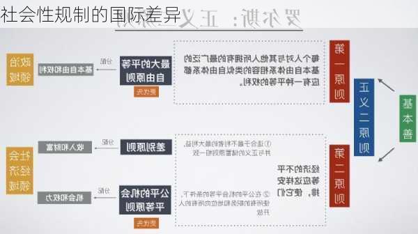 社会性规制的国际差异