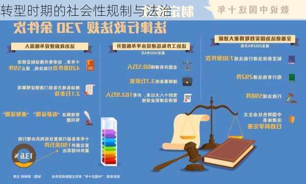 转型时期的社会性规制与法治