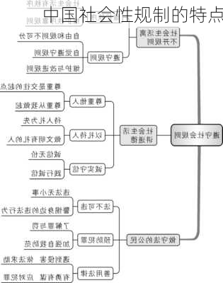 中国社会性规制的特点