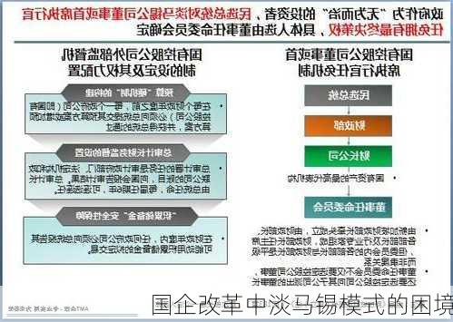 国企改革中淡马锡模式的困境