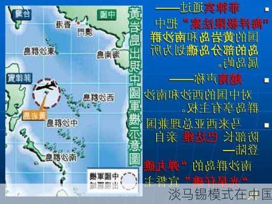 淡马锡模式在中国