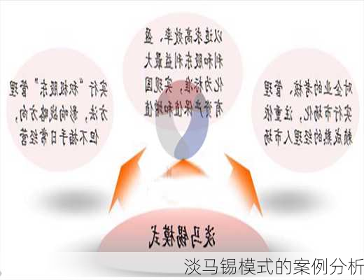 淡马锡模式的案例分析