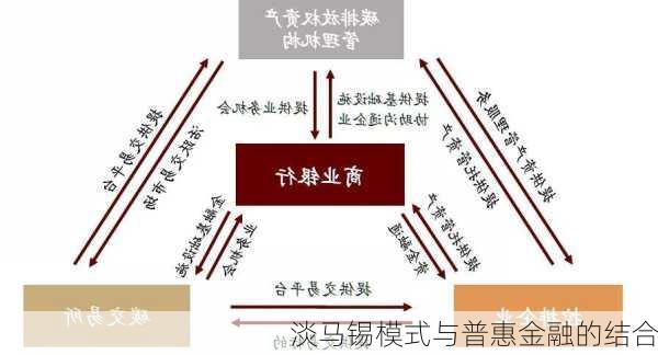 淡马锡模式与普惠金融的结合