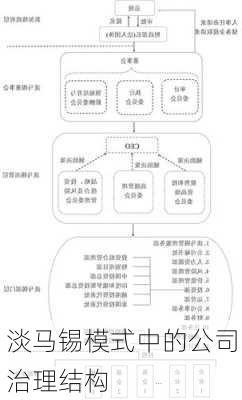 淡马锡模式中的公司治理结构