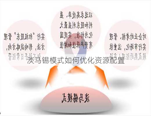 淡马锡模式如何优化资源配置