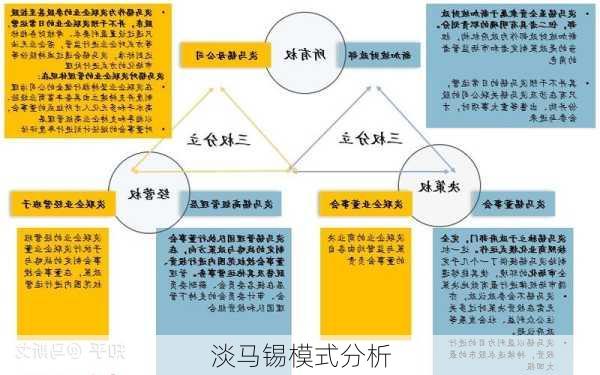 淡马锡模式分析
