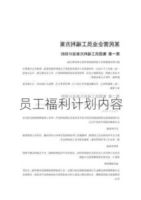 员工福利计划内容