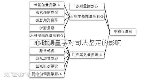 心理测量学对司法鉴定的影响