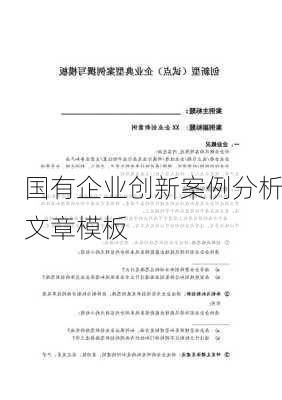国有企业创新案例分析文章模板