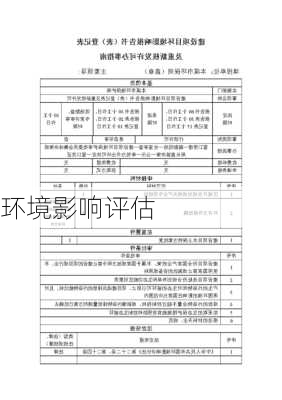 环境影响评估