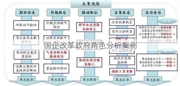 国企改革政府角色分析案例