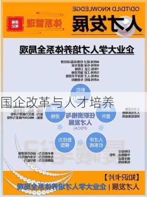国企改革与人才培养