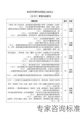 专家咨询标准