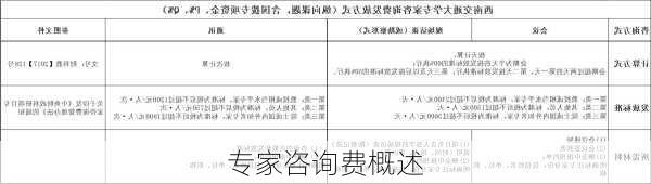 专家咨询费概述
