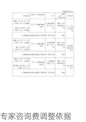 专家咨询费调整依据