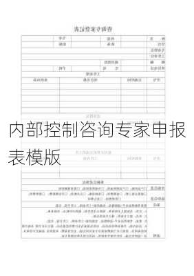 内部控制咨询专家申报表模版