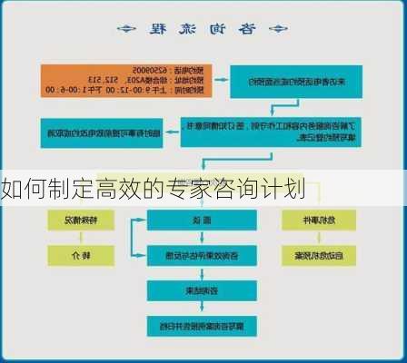 如何制定高效的专家咨询计划