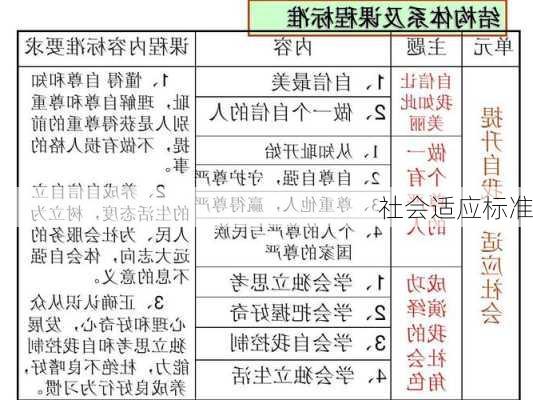 社会适应标准
