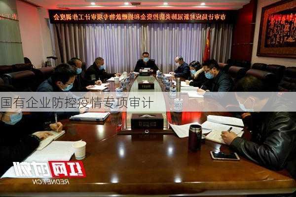 国有企业防控疫情专项审计