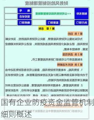 国有企业防疫资金监管机制细则概述