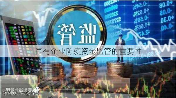 国有企业防疫资金监管的重要性