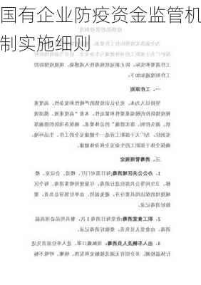 国有企业防疫资金监管机制实施细则