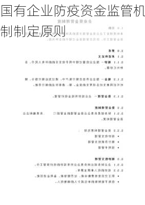 国有企业防疫资金监管机制制定原则