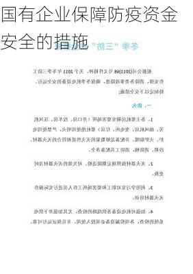 国有企业保障防疫资金安全的措施
