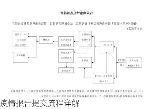 疫情报告提交流程详解