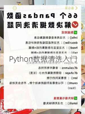 Python数据清洗入门